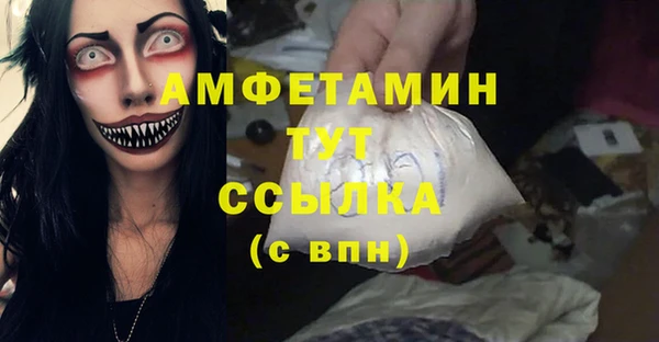 твердый Арсеньев